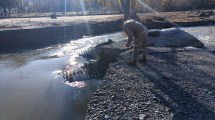Imagen de Ejercito y Policía reparan el puente que se desmoronó en Cipolletti