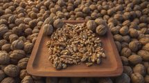 Imagen de Los frutos secos como alternativa de reconversión productiva