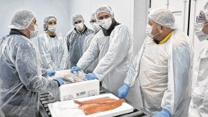 Neuquén le consultará al Senasa por las supertruchas de Dinamarca