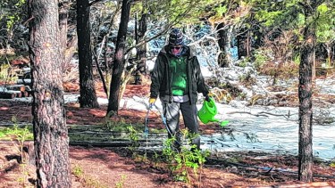 El predio ubicado en Puerto Moreno ya cuenta con un invernadero de 6 por 10 metros, repleto de notros, arrayanes, pañiles, ñires, coihues y “siete camisas”. Foto: gentileza