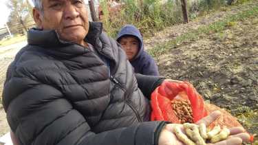 Pascual nació en Jujuy y aprendió a trabajar la tierra donde sea. Hoy, ya jubilado, le sigue sacando frutos en su huerta de Darwin. (Foto José Luis Denino)