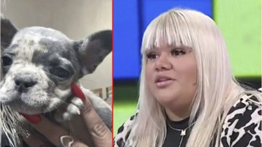 Morena Rial explicó los motivos por los que puso en venta el perro que había comprado para su hijo Francesco.  