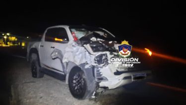 Fue en la Ruta 22, cerca de Plaza Huincul (Fotos: gentileza)
