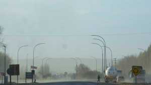 Lo que dejó el temporal de viento en Roca: roturas, cortes de luz y caída de árboles