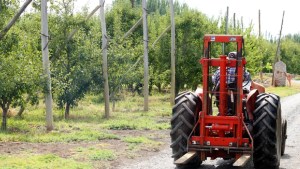 Encuentran muerto a un trabajador golondrina en una gamela, en San Patricio del Chañar