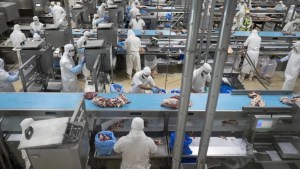 Se le cayeron 60 kilos de carne a un trabajador de un frigorífico de Viedma y será indemnizado