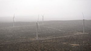 Vientos Neuquinos genera la mitad de la demanda de energía eléctrica de Neuquén