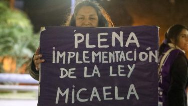 El proyecto de la Ley Ómnibus propone modificar la Ley Micaela. El Padre la joven, Néstor García, contó que se reunió con diputados para impedir este retroceso, en diálogo con RÍO NEGRO RADIO. (Foto: Juan Thomes).