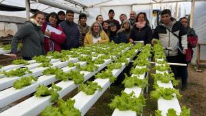 Generó interés la difusión de la técnica de producir lechuga y rúcula en agua