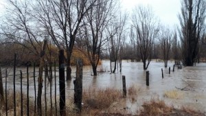 Evacuaciones en Sauzal Bonito: el caudal del río Neuquén superó los 5000 metros cúbicos