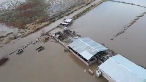 La crecida del río Neuquén en Sauzal Bonito: «Hay casas que quedaron tapadas por arcilla»