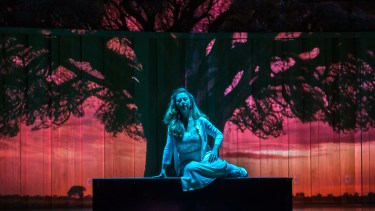La ópera "Secretos del árbol", se estrenó el fin de semana pasado en la Usina del Arte, (Foto: Liliana Morsia)