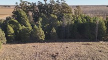 Imagen de La misteriosa desaparición de Alberto Hollmann en Viedma: pasaron dos semanas sin pistas