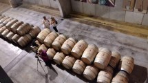 Imagen de Nación deberá definir si subsidia la luz a conocidas bodegas de la Patagonia