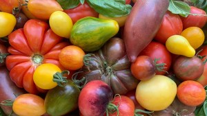 Una propuesta simple para dar los primeros pasos en el armado de la huerta propia