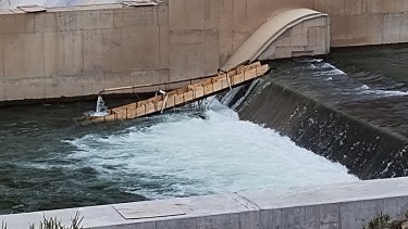 Una foto reflotó la polémica por las truchas del Nahueve: "Las salvó la lluvia, no la represa" 