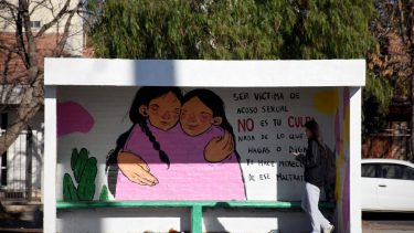 El trabajo abarcó 25 algomerados urbanos de 12 provincias. Se entrevistaron 12.152 mujeres. Foto Matías Subat.