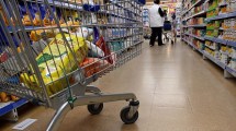 Imagen de Una familia tipo en Bariloche debió gastar 151 mil pesos en alimentos para no ser indigente
