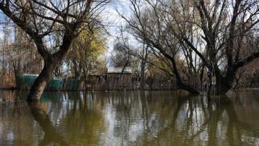 Por la crecida del río, desatada tras el temporal de lluvia, hay cerca de 50 evacuados en toda la provincia de Neuquén. Foto: Matías Subat. 