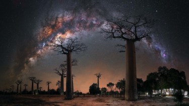 Crédito “Night under the Baobab Trees”: Steffi Lieberman.
