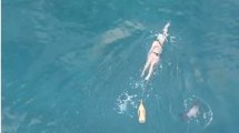 Imagen de Salió a nadar en invierno y en un video capturó un momento mágico en Puerto Madryn