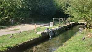 Mejoran el centro de salmonicultura de Bariloche