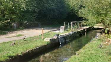 El canal de alimentación del criadero que provee de agua a todas las piletas. Ese canal nace e nel arroyo Gutiérrez. Foto: gentileza