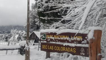 Los guardaparques Florencia Andrade, Gustavo Arce, Mariano Calvi y Agustín Barranco salieron a recorrer este paisaje gélido vestido de blanco y así lo retrataron. 