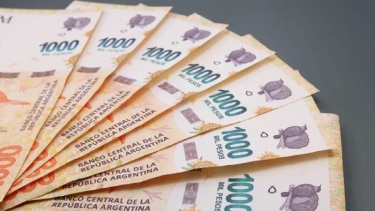 Anses pagará en agosto un suplemento a jubilados y pensionados. 