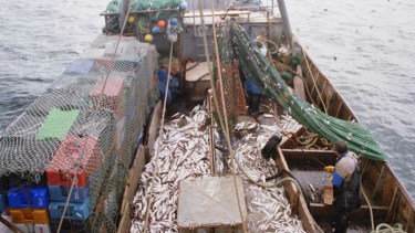 Pesca en Argentina: qué proyectos podrían potenciarla para 2030