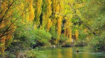 Imagen de Así es este paraíso de Chubut candidato a ser el mejor destino del mundo