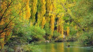 Así es este paraíso de Chubut candidato a ser el mejor destino del mundo