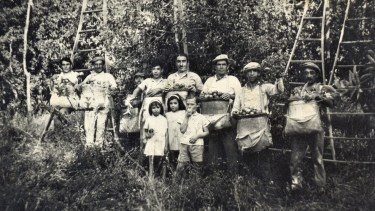 Recuerdo de los tiempos de cosecha en Centenario, en 1964 - Foto: Archivo Patrimonio Histórico.