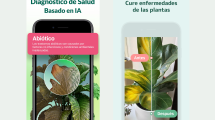 Imagen de Las tres mejores aplicaciones para cuidar plantas en el hogar