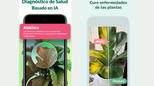 Las tres mejores aplicaciones para cuidar plantas en el hogar
