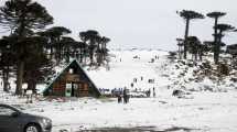 Imagen de Primeros Pinos con nieve este fin de semana largo: ¿Se puede ir?
