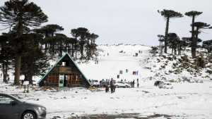 Primeros Pinos con nieve este fin de semana largo: ¿Se puede ir?