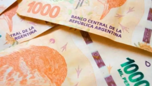 Cómo acceder al nuevo beneficio de Anses para jubilados y beneficiarios de AUH