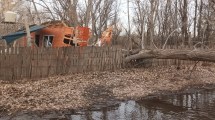 Imagen de Cipolletti: por la crecida del río, se le cayó un árbol y le partió su casa