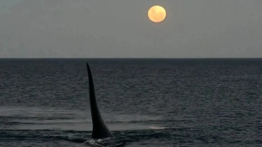 Impresionante. La naturaleza en todo su esplendor ayer en Puerto Madryn. Fotero Patagónico. 