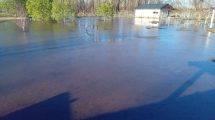 Imagen de Colocarán un puente en la isla Porvenir de Centenario, afectada por la crecida del río Neuquén