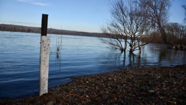 El aumento del nivel del agua ya se observa en el río Negro. Foto: Matías Subat. 