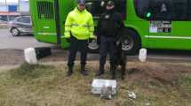 Imagen de Transportaban marihuana en un colectivo de larga distancia y los descubrieron en Roca