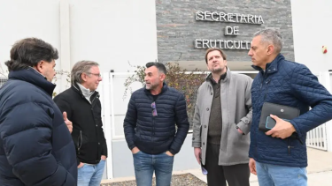 El dinero ayudará a los fruticultores de la zona rionegrina. 
