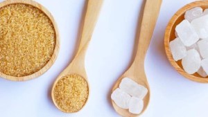 ¿Son los edulcorantes nocivos para la salud?