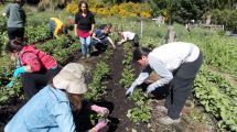 Imagen de Universidades incorporan la acción comunitaria en la formación académica
