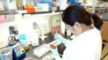 Imagen de Recomendaciones luego de los casos fatales producidos por una bacteria