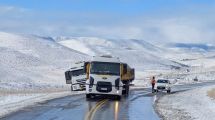 Imagen de Con la nieve, prestá atención: miralos a ellos sobre la Ruta 40, en Junín de los Andes