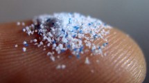 Imagen de Cada acción importa: cómo podemos reducir la exposición a microplásticos