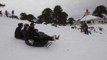 Cientos de visitantes aprovechan Primeros Pinos para disfrutar de la nieve. (Foto del 26-7-23 de Darío Martínez).-